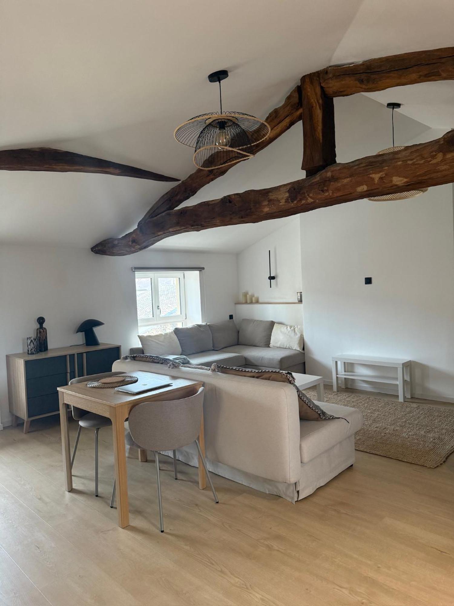 Appartements Centre Ville Villefranche-Sur-Saone Bagian luar foto