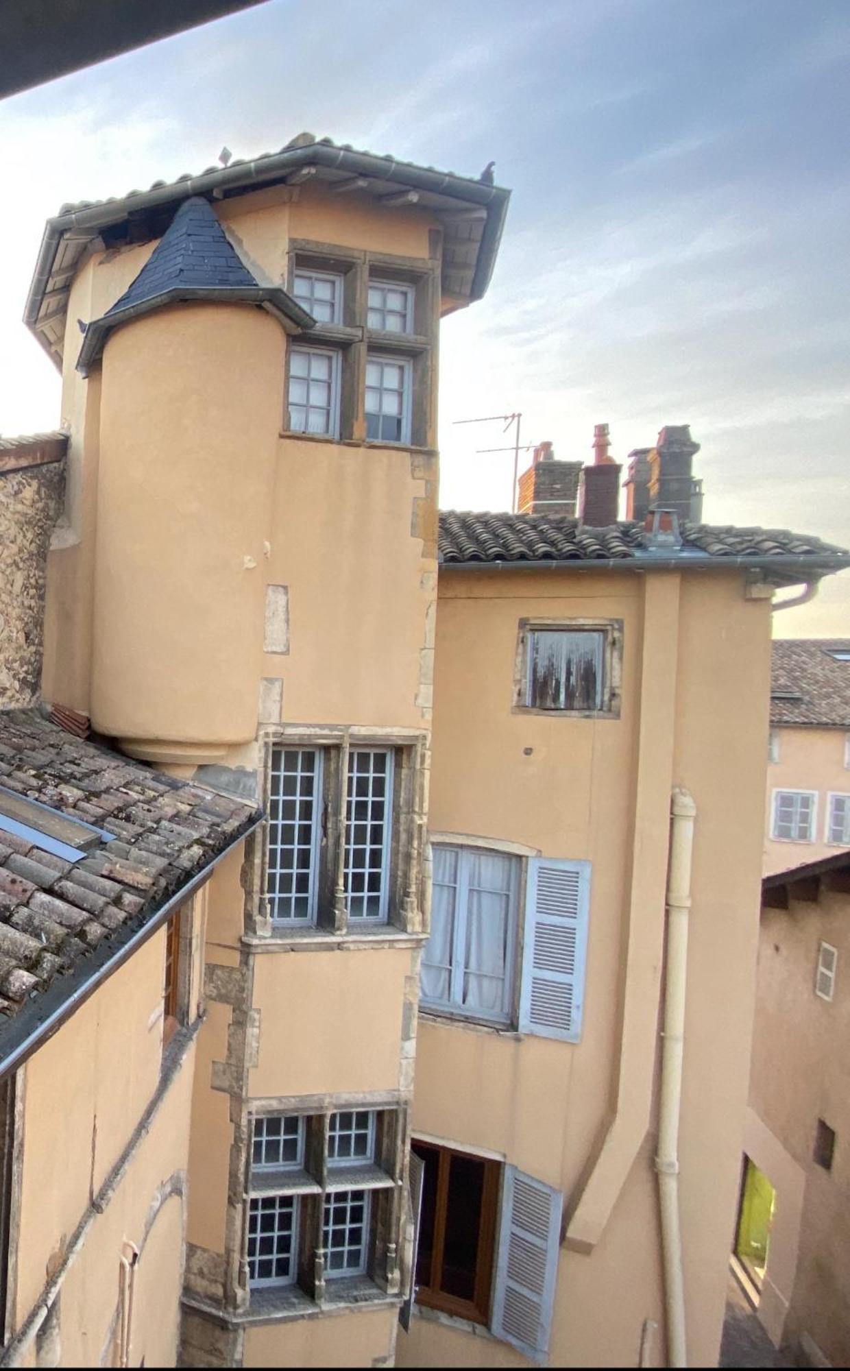 Appartements Centre Ville Villefranche-Sur-Saone Bagian luar foto